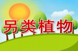 大班科学另类植物PPT课件