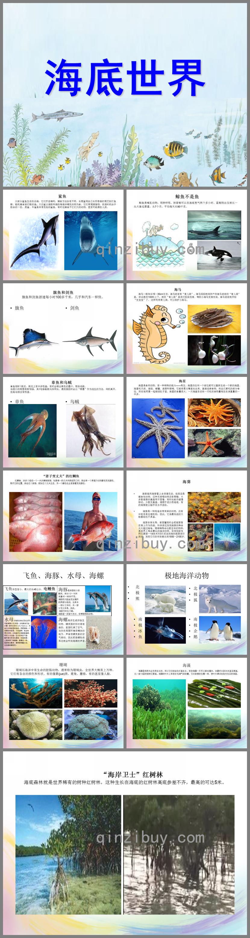 大班科学海洋世界PPT课件