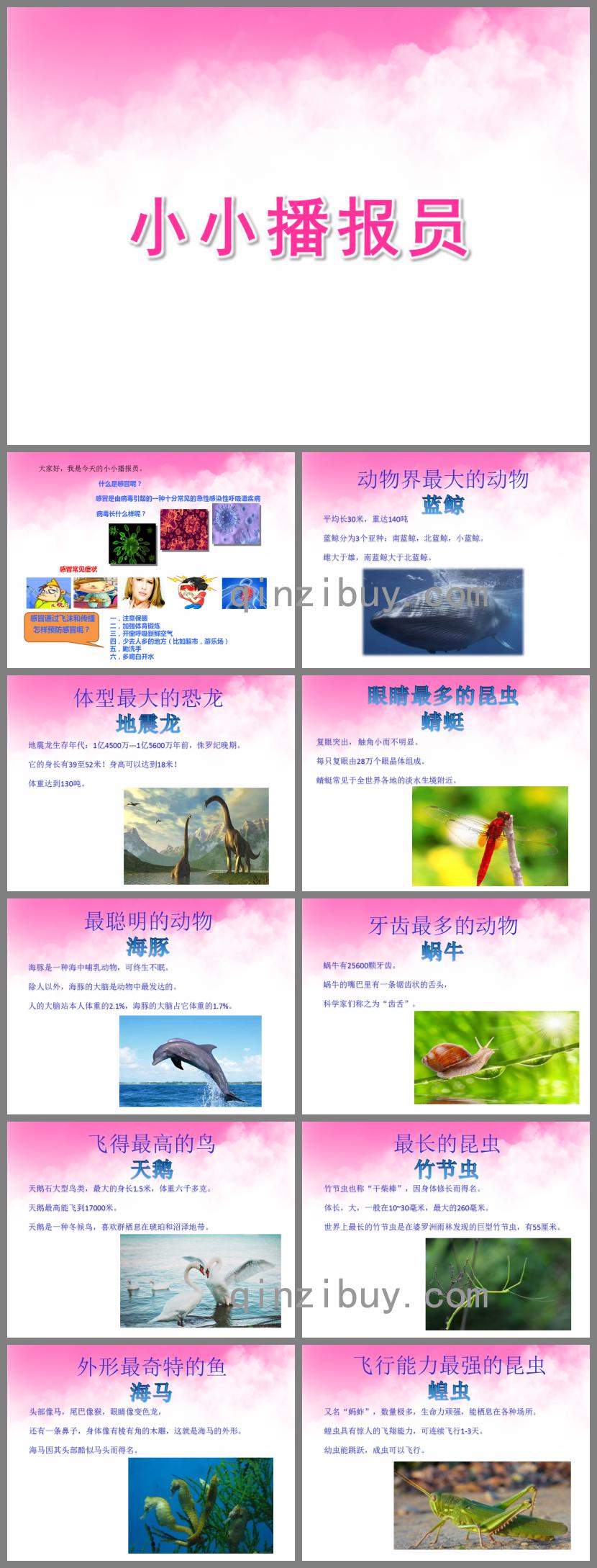 大班语言小小播报员PPT课件
