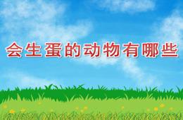 中班科学会生蛋的动物有哪些PPT课件