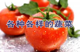 幼儿园各种各样的蔬菜PPT课件