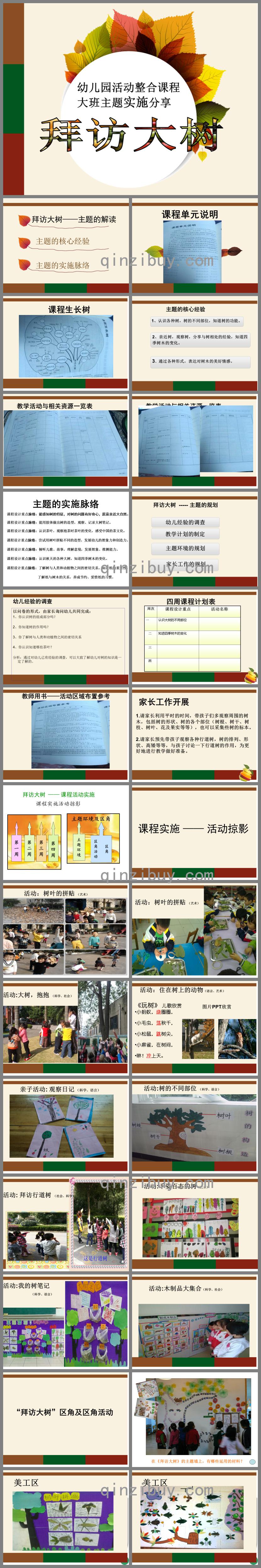 幼儿园活动整合课程大班“拜访大树”主题实录分享PPT课件