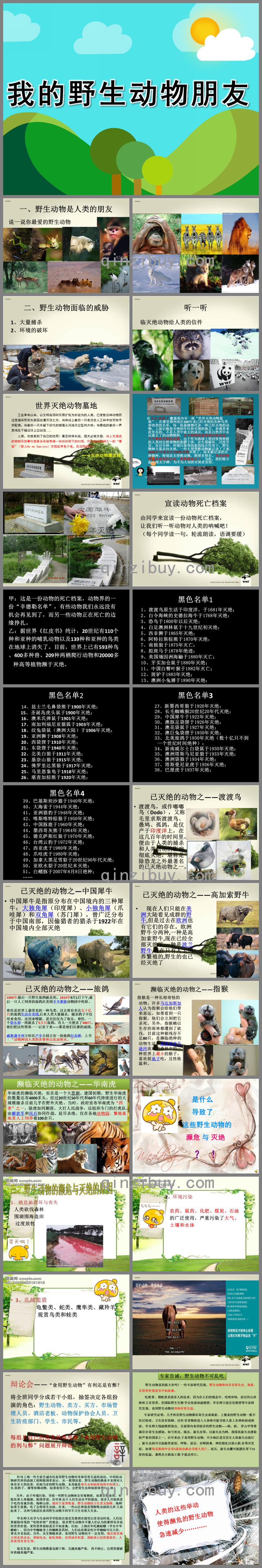 大班科学我知道的恐龙PPT课件