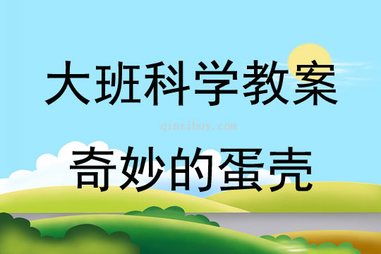 大班科学活动奇妙的蛋壳教案反思