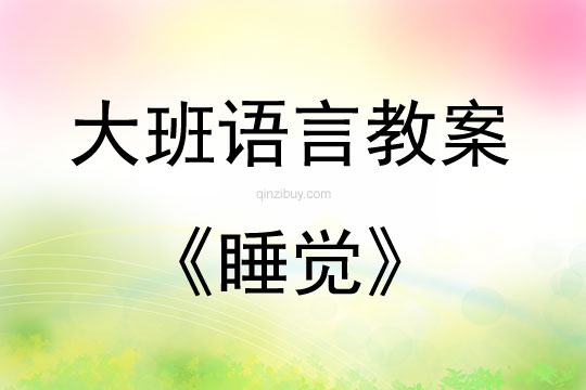 大班语言活动散文诗《睡觉》教案反思