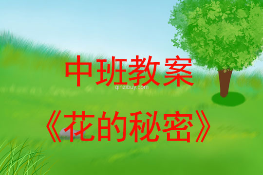 中班春天综合教案：花的秘密中班春天综合教案：花的秘密