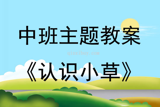 中班主题活动教案：认识小草教案(附教学反思)