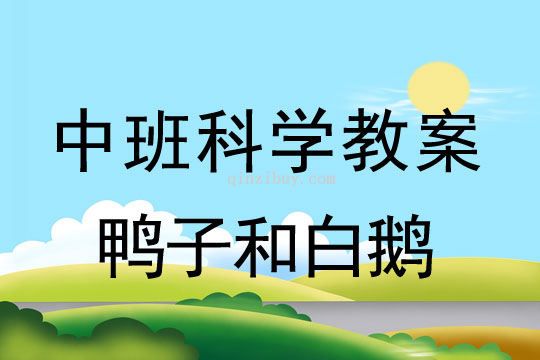 中班科学教案：鸭子和白鹅中班科学教案：鸭子和白鹅