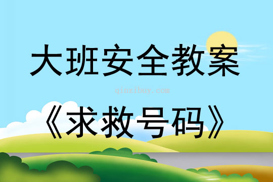 大班户外活动安全求救号码教案反思