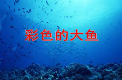 中班美术彩色的大鱼PPT课件