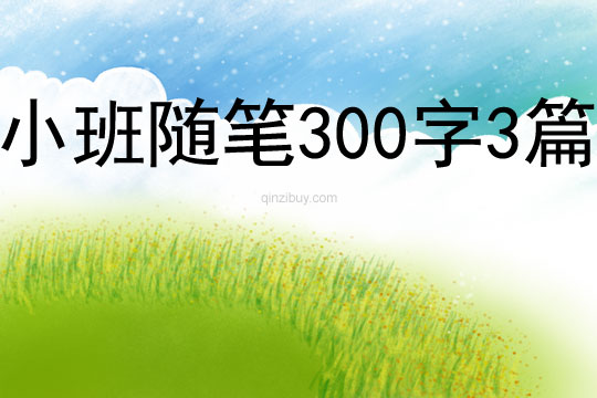 小班随笔300字3篇