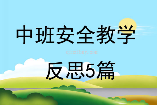 中班安全教学反思5篇