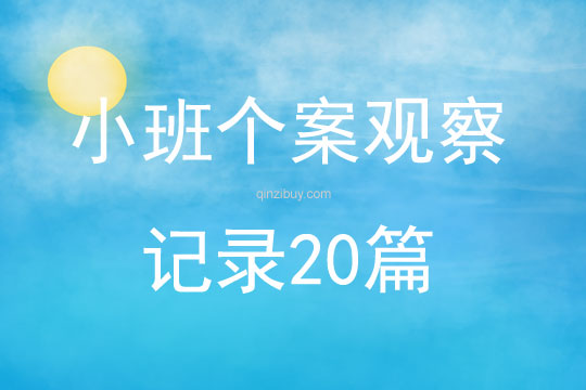 小班个案观察记录20篇