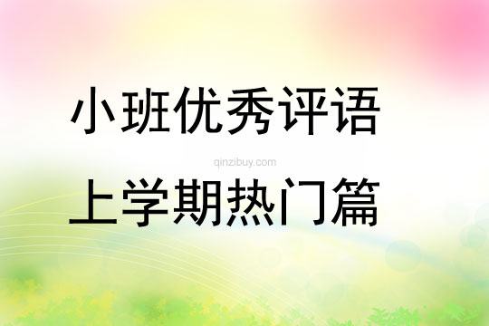 小班优秀评语上学期热门篇