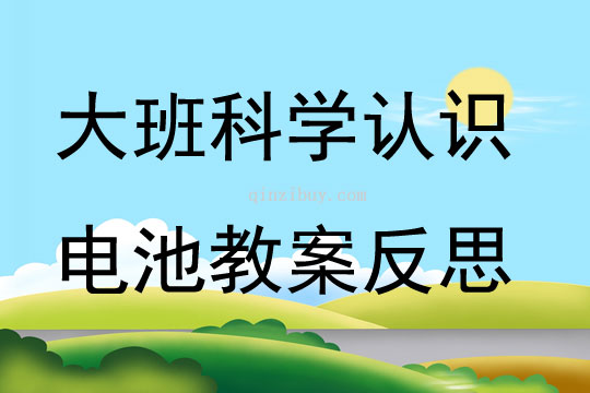 大班科学认识电池教案反思
