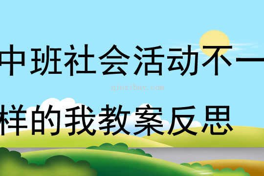 中班社会活动不一样的我教案反思