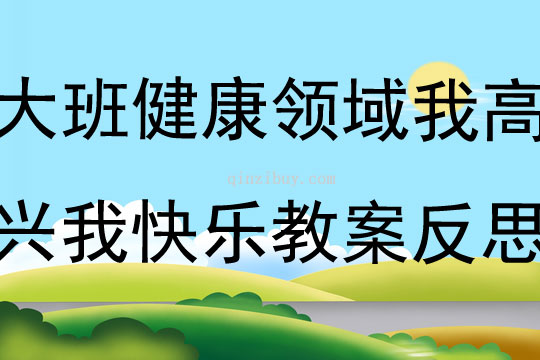 大班健康领域我高兴我快乐教案反思