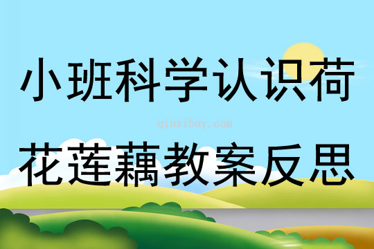 小班科学认识荷花莲藕教案反思