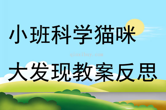 小班科学猫咪大发现教案反思