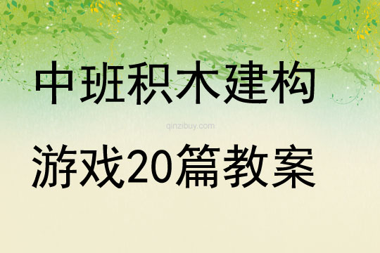 中班积木建构游戏20篇教案