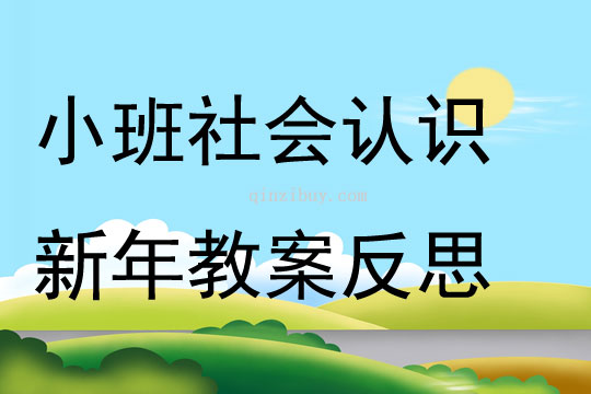 小班社会认识新年教案反思