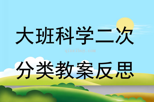 大班科学二次分类教案反思