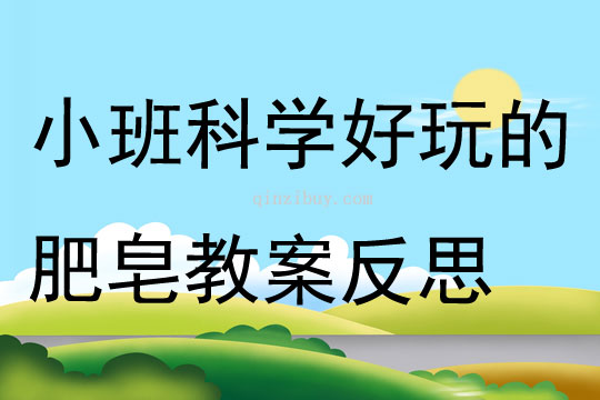 小班科学好玩的肥皂教案反思