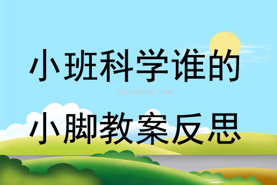 小班科学谁的小脚教案反思