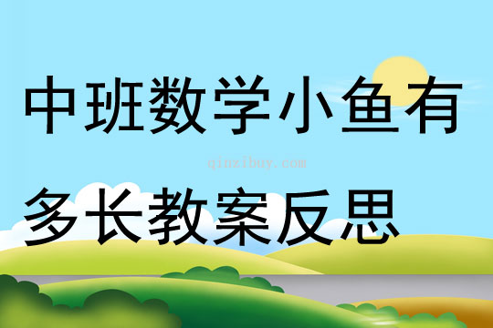 中班数学公开课小鱼有多长教案反思