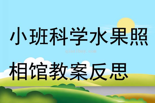 小班科学水果照相馆教案反思