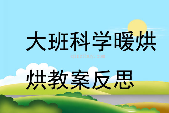 大班科学暖烘烘教案反思