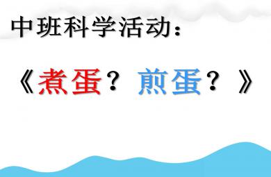 中班科学故事优质课煎蛋煮蛋PPT课件教案