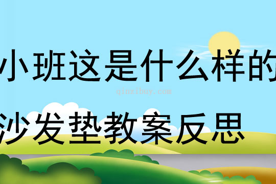 小班游戏这是什么样的沙发垫教案反思