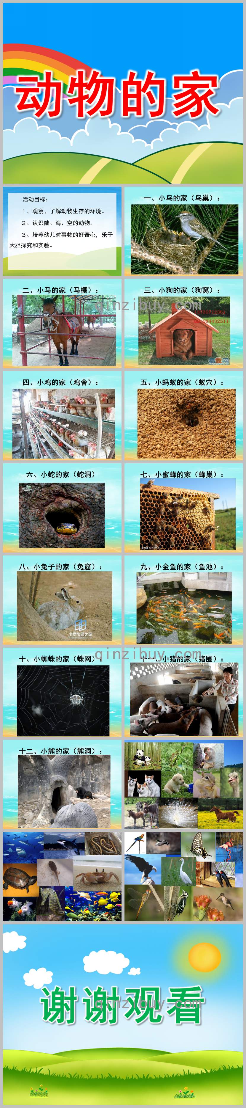 动物的家PPT课件教案图片