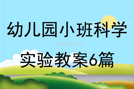 幼儿园小班科学实验教案6篇