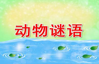 动物谜语PPT课件教案图片