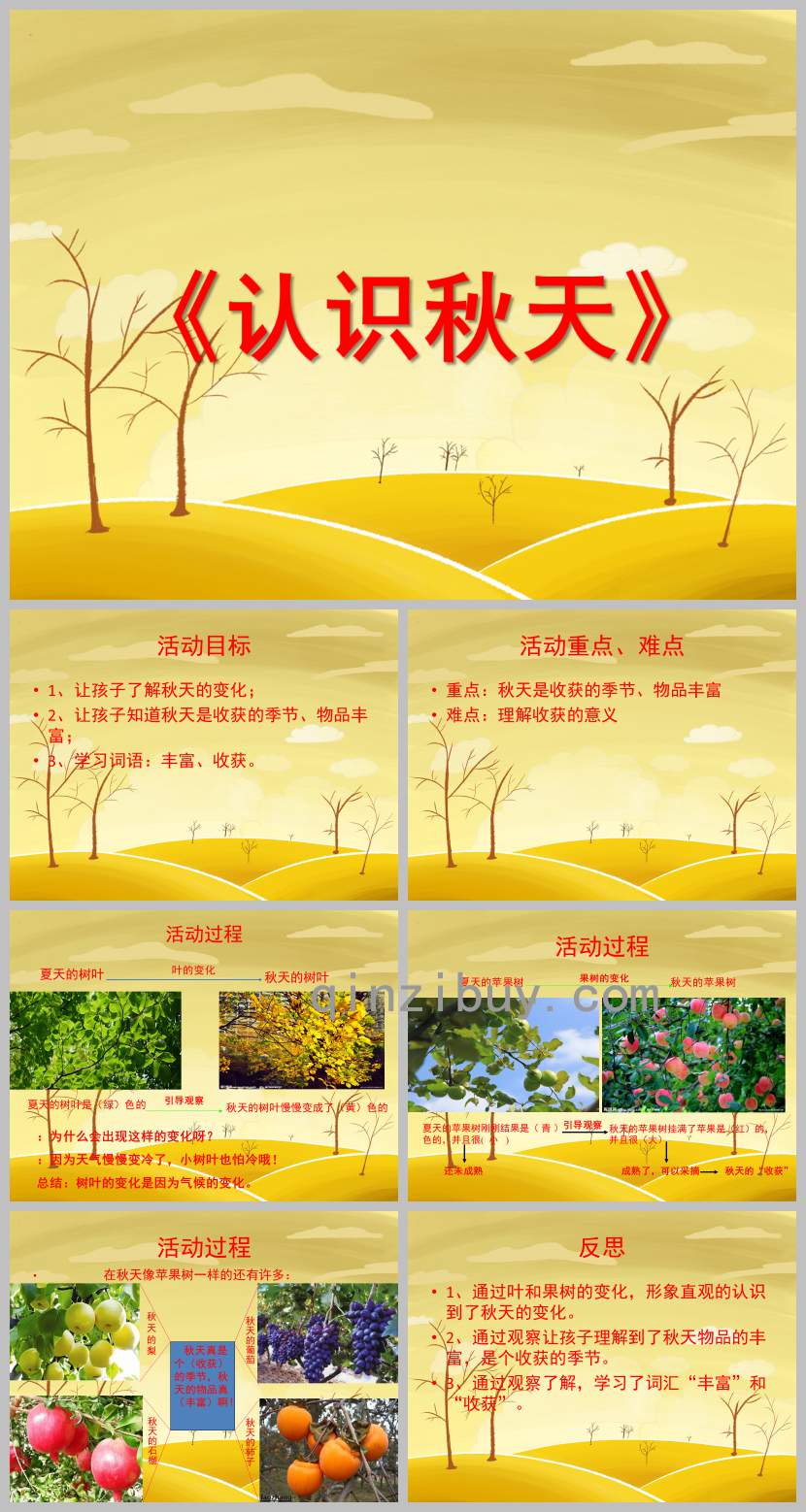 认识秋天PPT课件教案图片