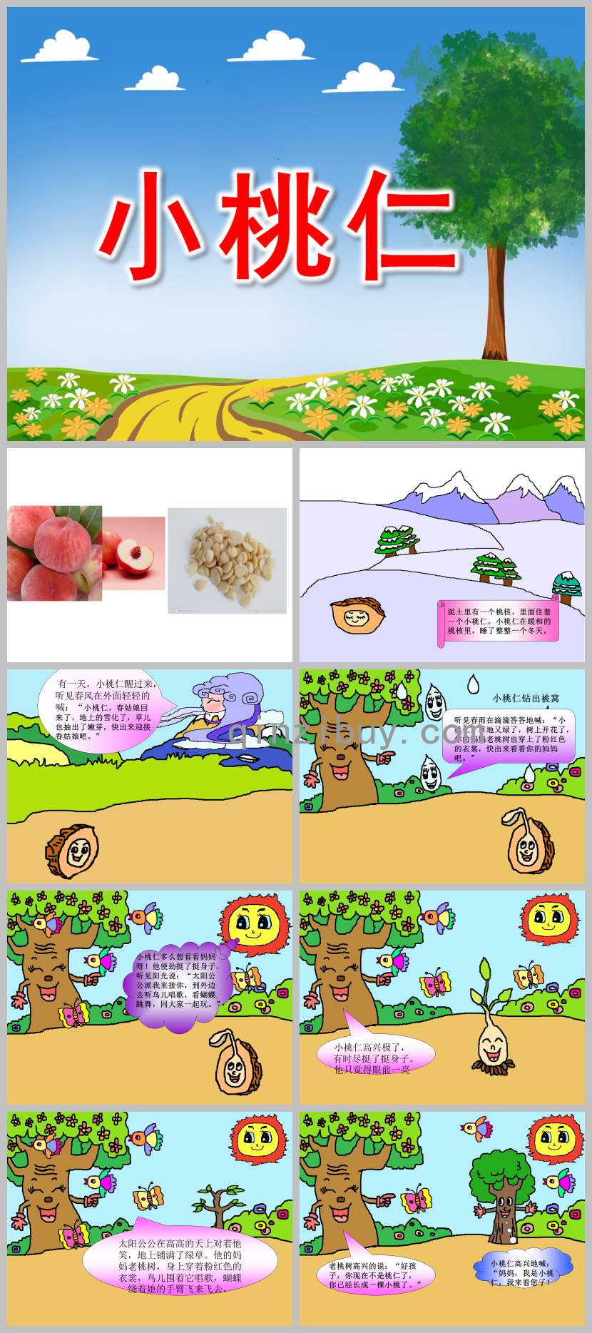 小桃仁PPT课件教案图片
