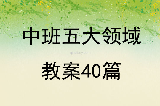 中班五大领域教案40篇