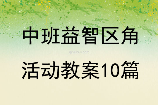 中班益智区角活动教案10篇