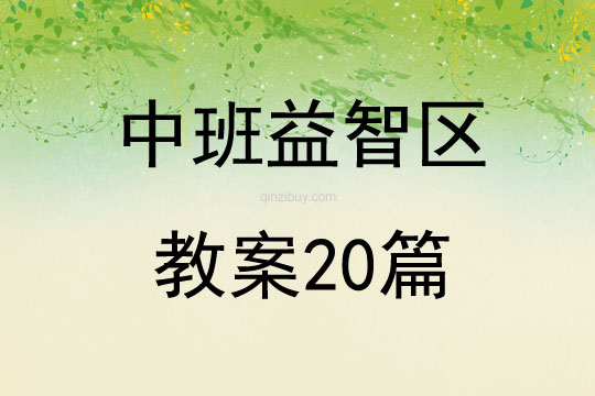 中班益智区教案20篇