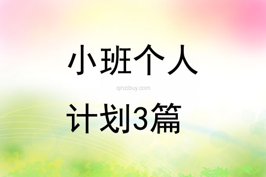 小班个人计划3篇