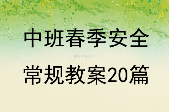 中班春季安全常规教案20篇