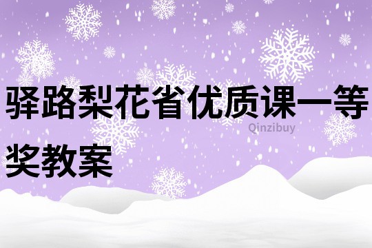 驿路梨花省优质课一等奖教案