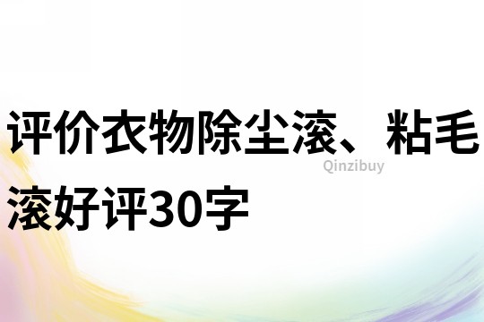 评价衣物除尘滚、粘毛滚好评30字
