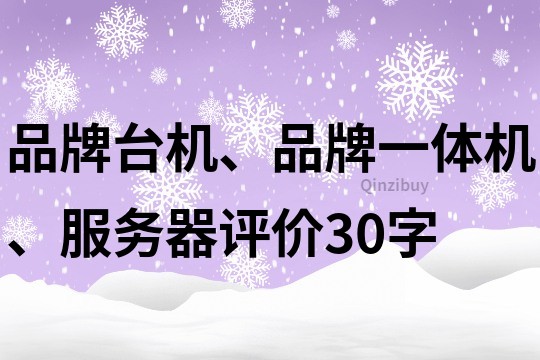 品牌台机、品牌一体机、服务器评价30字