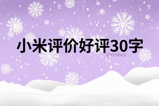 小米评价好评30字