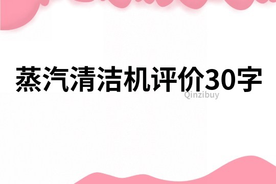 蒸汽清洁机评价30字