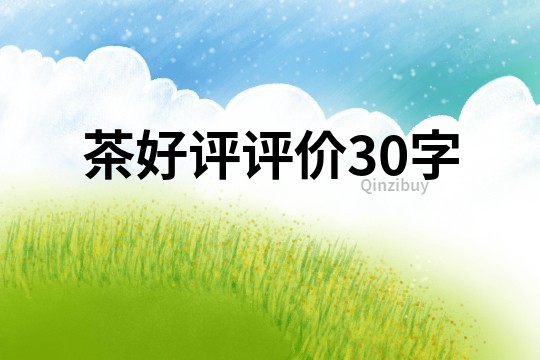 茶好评评价30字