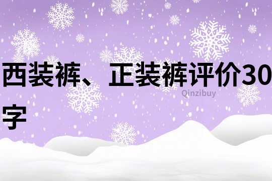 西装裤、正装裤评价30字